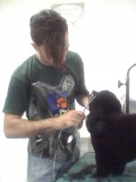 /album/galeria-de-fotos/a003-jpg/