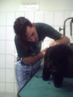 /album/galeria-de-fotos/a004-jpg/