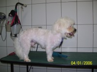 /album/galeria-de-fotos/a100-2827-jpg/