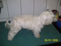 /album/galeria-de-fotos/a100-2881-jpg/