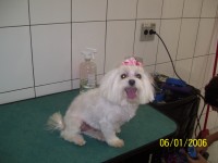 /album/galeria-de-fotos/a100-2883-jpg/