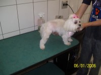 /album/galeria-de-fotos/a100-2884-jpg/