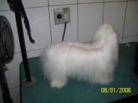 /album/galeria-de-fotos/a100-2906-jpg/