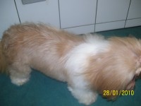 /album/galeria-de-fotos/a100-3022-jpg/