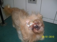 /album/galeria-de-fotos/a100-3021-jpg/