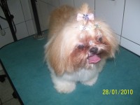 /album/galeria-de-fotos/a100-3023-jpg/