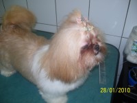 /album/galeria-de-fotos/a100-3024-jpg/