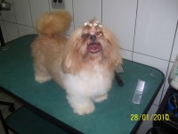 /album/galeria-de-fotos/a100-3025-jpg/