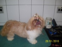 /album/galeria-de-fotos/a100-3027-jpg/